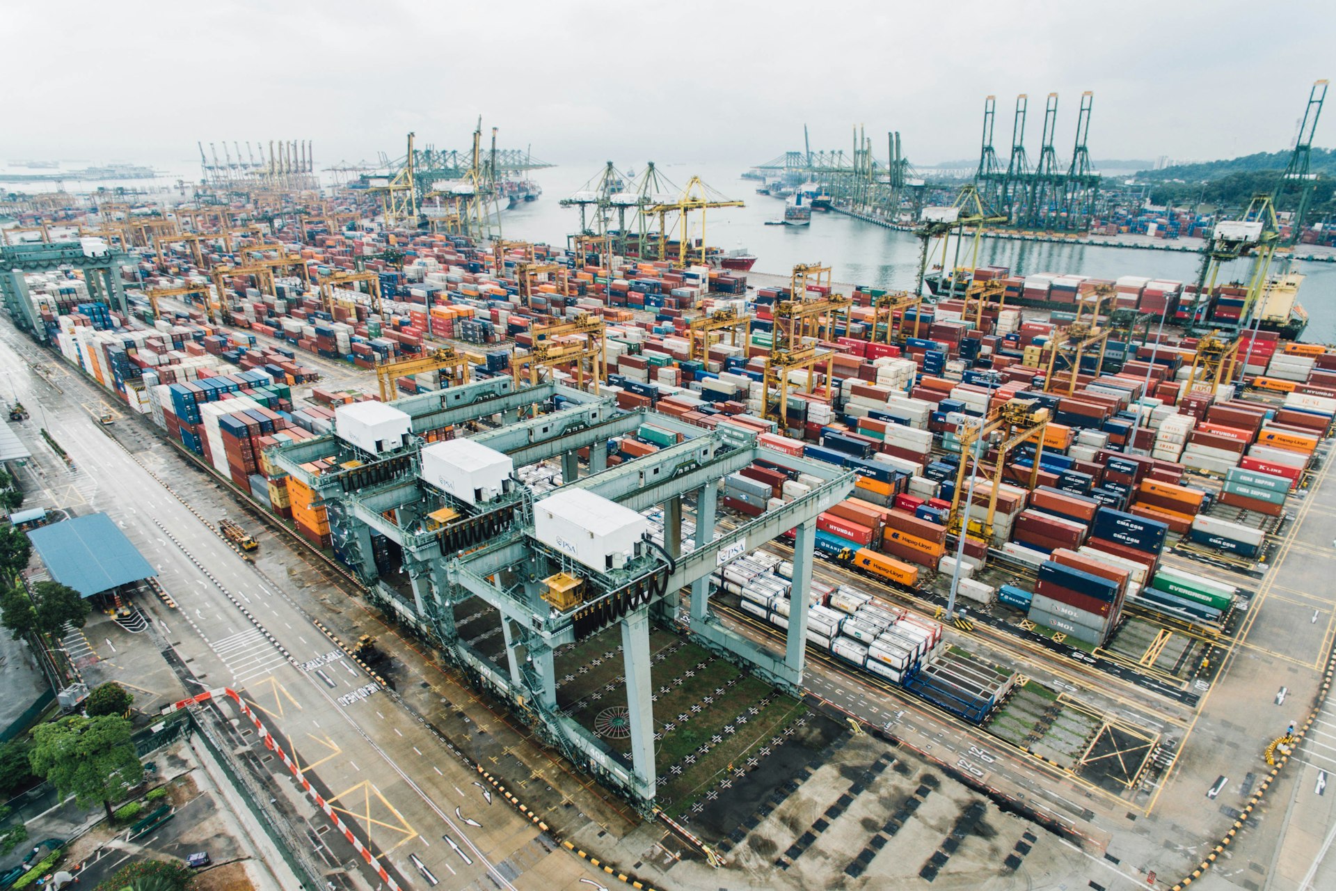 Export Capabilities